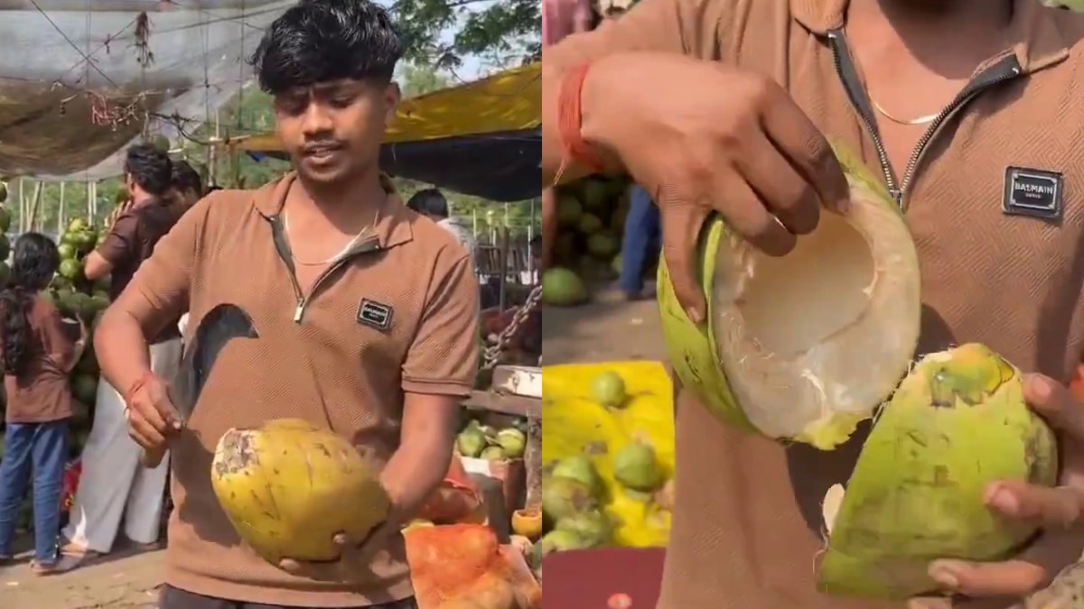 किस नारियल में होगा ज्यादा पानी? सोशल मीडिया पर वायरल इस ट्रिक से पहचानें