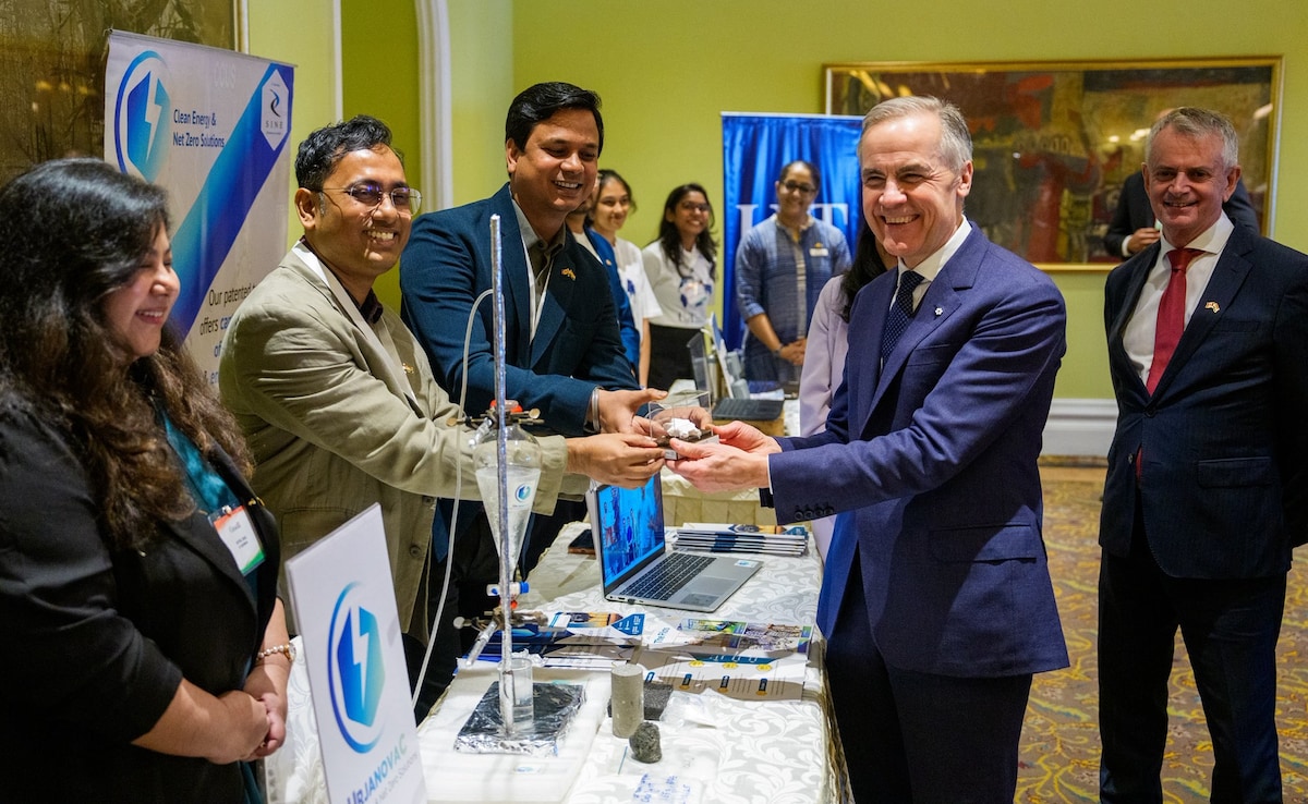 The Art of Baking: From Classic Bread to Artisan Pastries