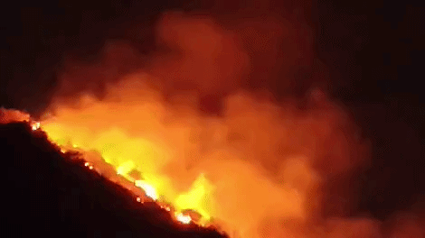 Rajasthan: उदयपुर के बाहुबली हिल क्षेत्र में आग से फैला घना धुआं, दम घुटने से युवक बेहोश