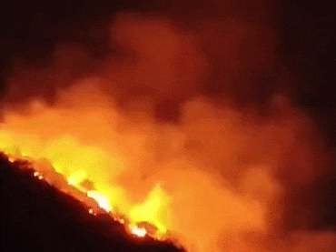 Rajasthan: उदयपुर के बाहुबली हिल क्षेत्र में आग से फैला घना धुआं, दम घुटने से युवक बेहोश