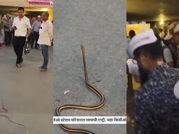 Dadar Station Video : दगडफेकीच्या घटनेनंतर आज पुन्हा दादर स्टेशन परिसरात प्रवाशांमध्ये घबराट, मोठा अनर्थ टळला