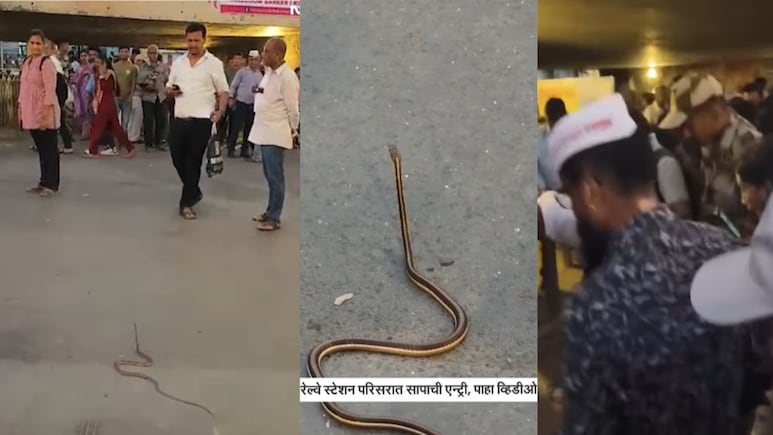Dadar Station Video : दगडफेकीच्या घटनेनंतर आज पुन्हा दादर स्टेशन परिसरात प्रवाशांमध्ये घबराट, मोठा अनर्थ टळला