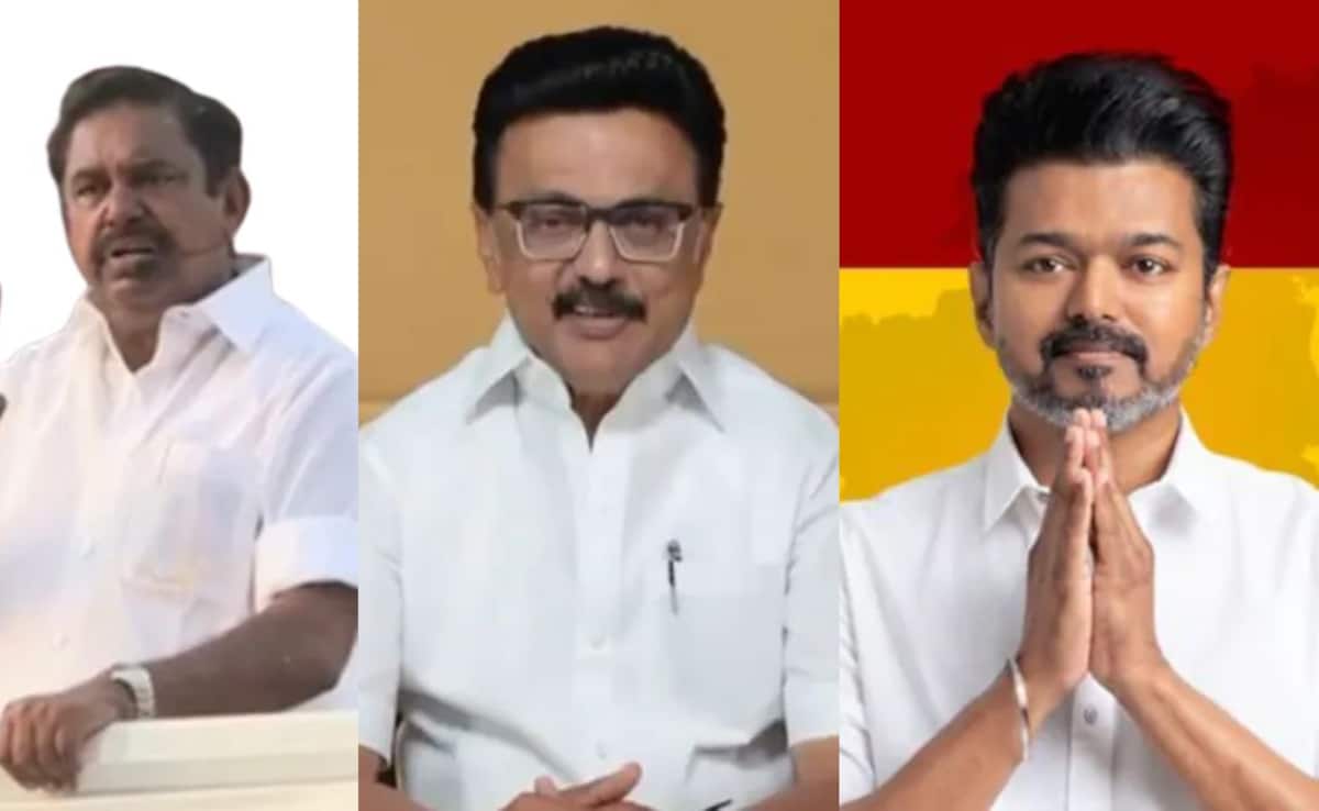 The Art of Baking: From Classic Bread to Artisan Pastries