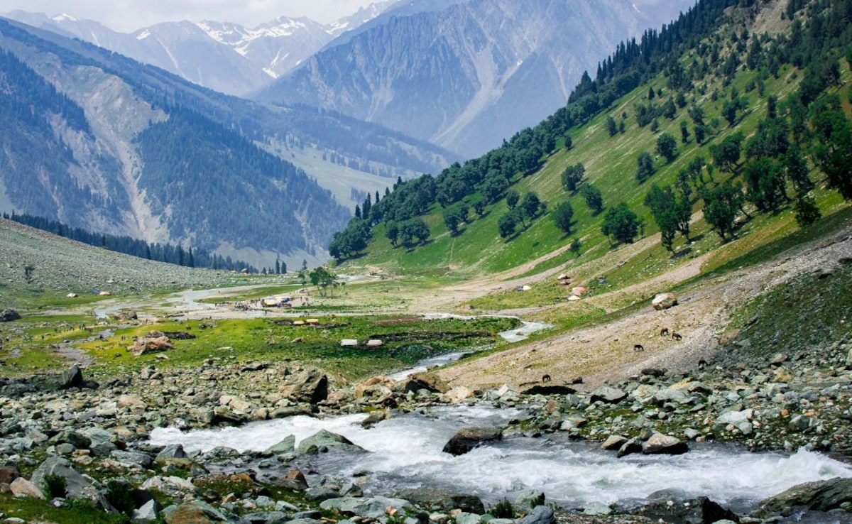 Latest and Breaking News on NDTV