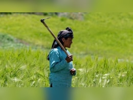 PM Fasal Bima Yojana: मौसम से फसल हो गई बरबाद, तो किसान ना हों परेशान, BRFSY और PMFBY से होगी भरपाई, जानिए कैसे