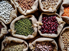 The Future Of Desi Protein: How India's New Pulse Centre Is Re-Engineering Dal For Fitness