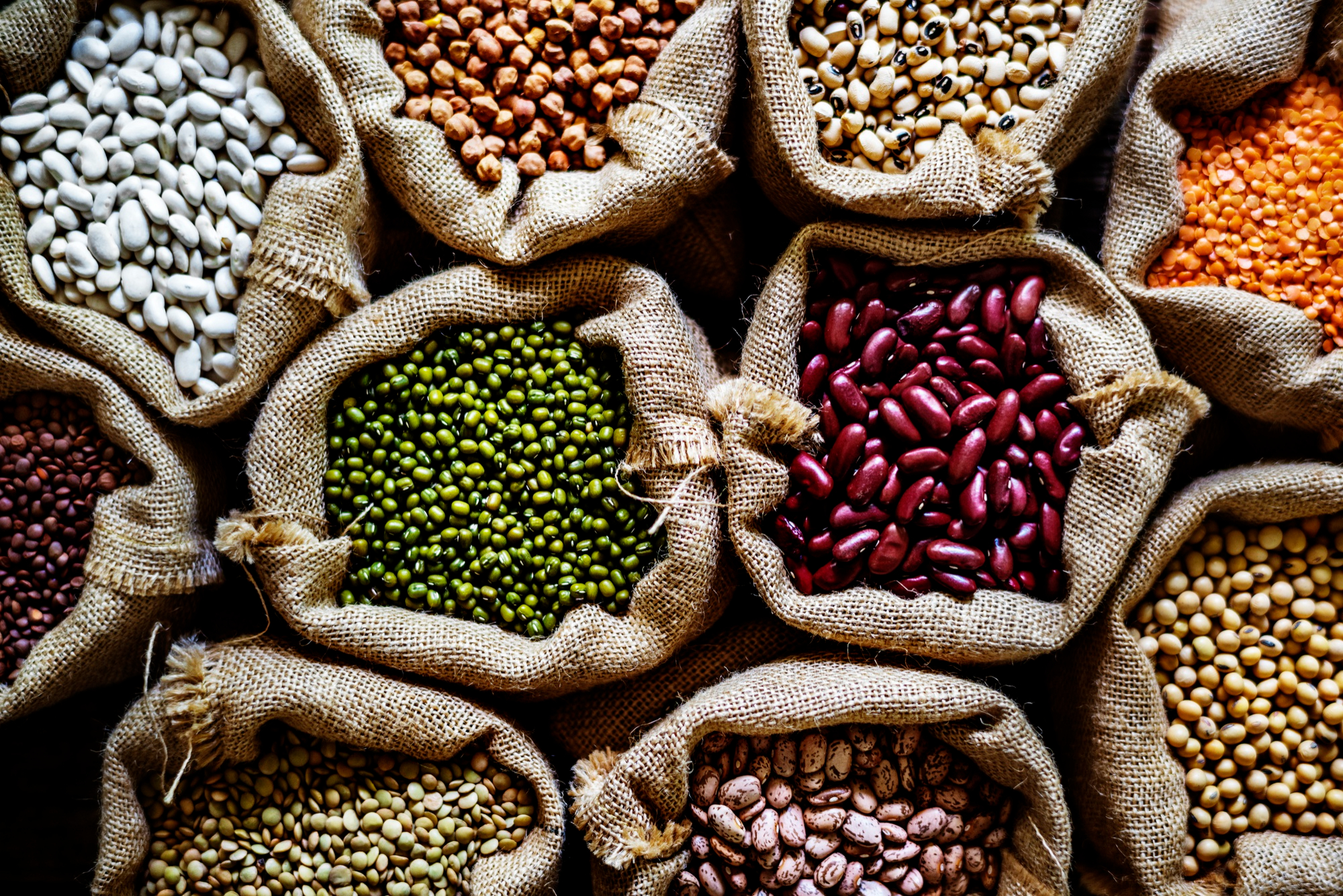 Pulses are low-fat, high in fibre content, and rich in protein