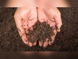 Business Idea: घर बैठे शुरू करें कृषि से जुड़ा ये बिजनेस, कम खर्च में होगी खूब कमाई, जानिए