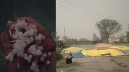 MP Weather: उज्&zwj;जैन समेत कई ज&zwj;िलों में ओलावृष्टि-बारिश का कहर, आकाशीय बिजली ने ली मह&zwj;िला की जान&nbsp;