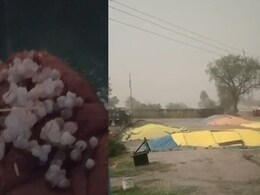 MP Weather: उज्&zwj;जैन समेत कई ज&zwj;िलों में ओलावृष्टि-बारिश का कहर, आकाशीय बिजली ने ली मह&zwj;िला की जान&nbsp;