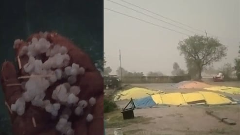 MP Weather: उज्&zwj;जैन समेत कई ज&zwj;िलों में ओलावृष्टि-बारिश का कहर, आकाशीय बिजली ने ली मह&zwj;िला की जान&nbsp;