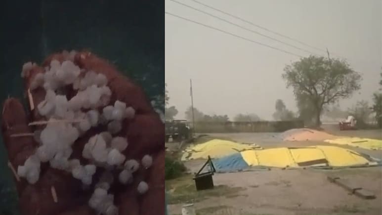 MP Weather: उज्&zwj;जैन समेत कई ज&zwj;िलों में ओलावृष्टि-बारिश का कहर, आकाशीय बिजली ने ली मह&zwj;िला की जान&nbsp;