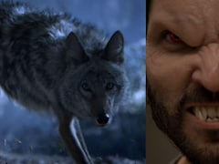 चंद्र ग्रहण से क्यों डरते हैं भेड़ियामानव, 6 सीजन, 100 एपिसोड वाली इस सीरीज में देखें फुल मून और लूनर ईक्लिप्स से उनका कनेक्शन