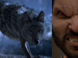 चंद्र ग्रहण से क्यों डरते हैं भेड़ियामानव, 6 सीजन, 100 एपिसोड वाली इस सीरीज में देखें फुल मून और लूनर ईक्लिप्स से उनका कनेक्शन