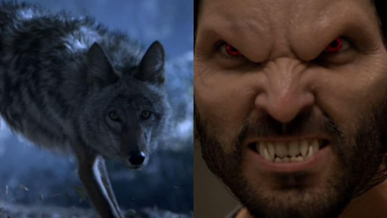 चंद्र ग्रहण से क्यों डरते हैं भेड़ियामानव, 6 सीजन, 100 एपिसोड वाली इस सीरीज में देखें फुल मून और लूनर ईक्लिप्स से उनका कनेक्शन