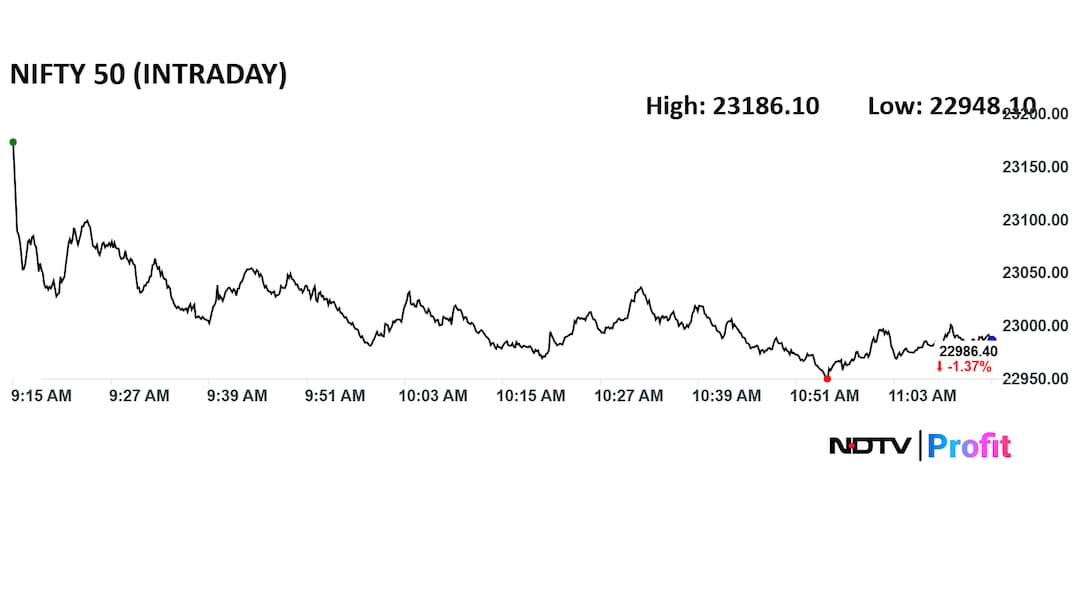 Latest and Breaking News on NDTV Latest and Breaking News on NDTV