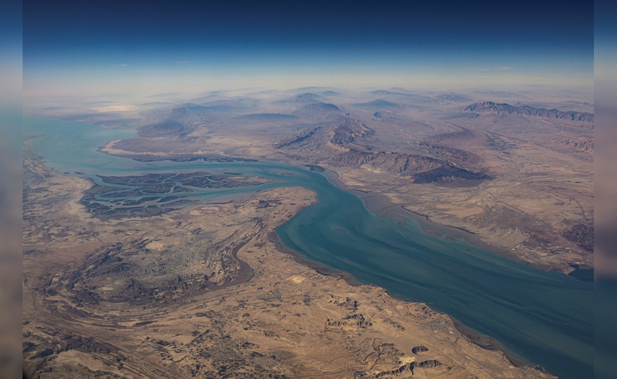 The Art of Baking: From Classic Bread to Artisan Pastries