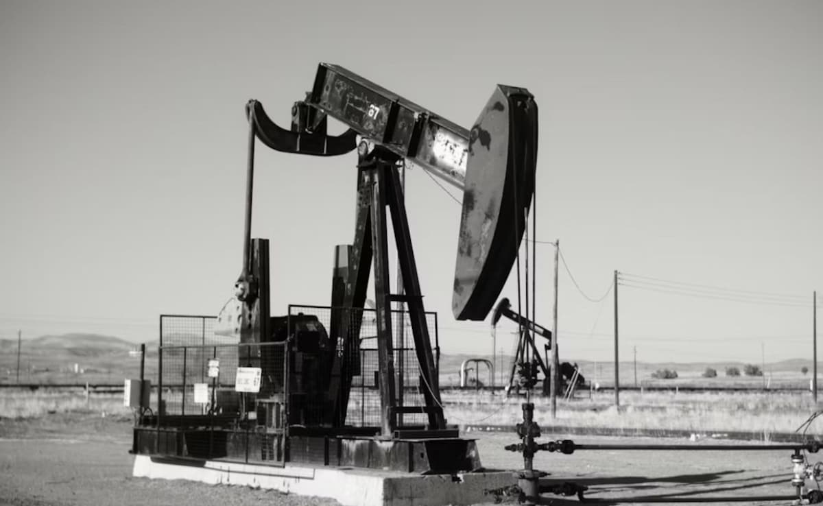 Latest and Breaking News on NDTV Latest and Breaking News on NDTV