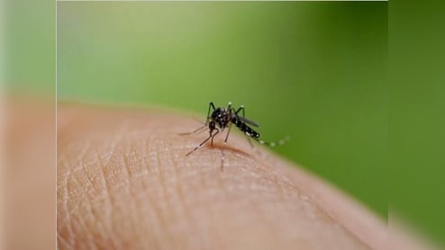 शरीर में दिखें ये संकेत तो तुरंत जाएं अस्पताल, डेंगू का हो सकता है खतरा