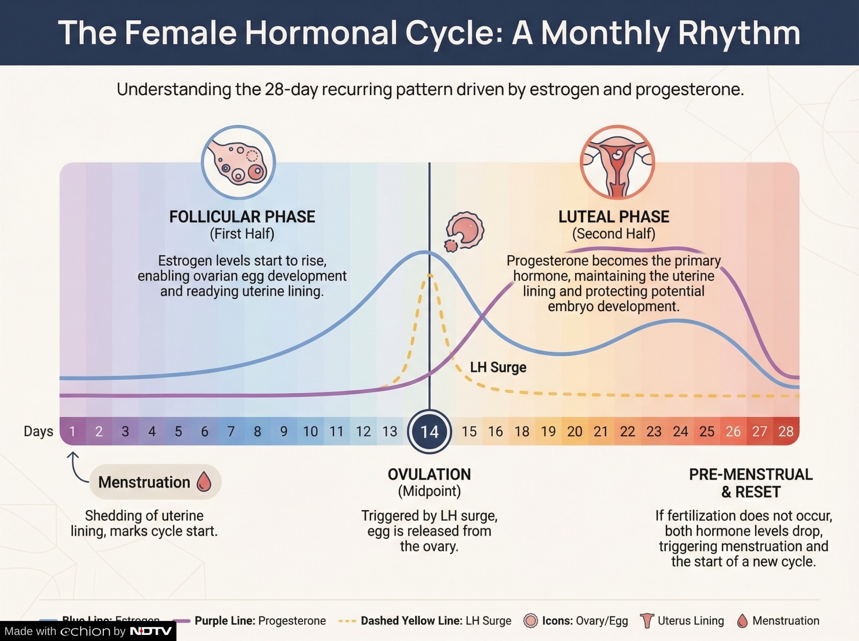 Latest and Breaking News on NDTV
