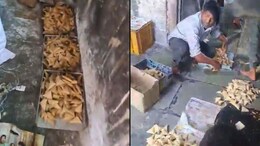 Large Illegal Samosa Unit Busted In Hyderabad For Using Spoiled Ingredients And Reused Oil