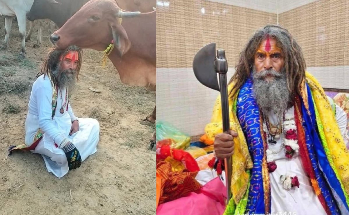 Cow Vigilante Dies After Being Hit By A Truck In Mathura