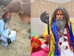 Mathura Cow Vigilante Dies After Being Hit By Cattle Smugglers' Truck