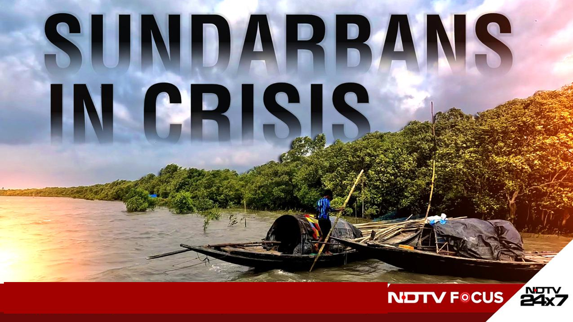 Sundarbans In Crisis: Tiger Attack Survivors Speak