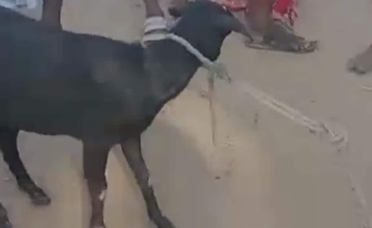 ओडिशा के मयूरभंज में भीड़ का ये कैसा न्याय? बकरी चोरी के शक में छात्र की पीट-पीटकर कर दी हत्या