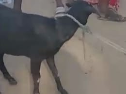 ओडिशा के मयूरभंज में भीड़ का ये कैसा न्याय? बकरी चोरी के शक में छात्र की पीट-पीटकर कर दी हत्या