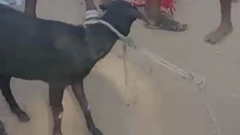 ओडिशा के मयूरभंज में भीड़ का ये कैसा न्याय? बकरी चोरी के शक में छात्र की पीट-पीटकर कर दी हत्या