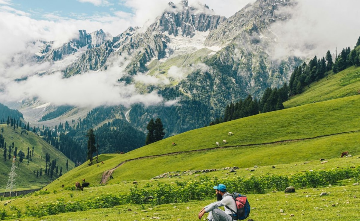 Latest and Breaking News on NDTV