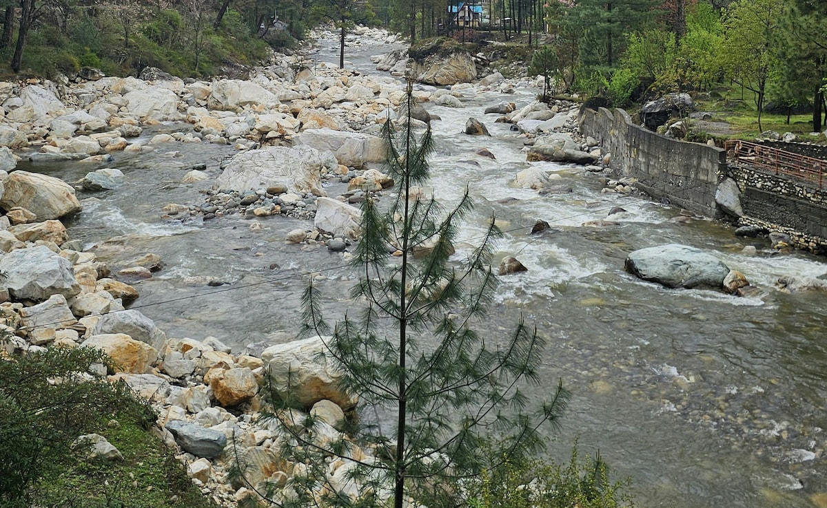 Latest and Breaking News on NDTV