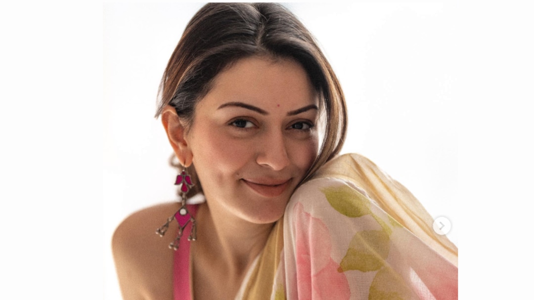 Hansika Motwani Officially Divorced From Husband Sohail Kathuria — Here's Why They Separated