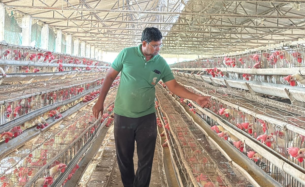 Latest and Breaking News on NDTV