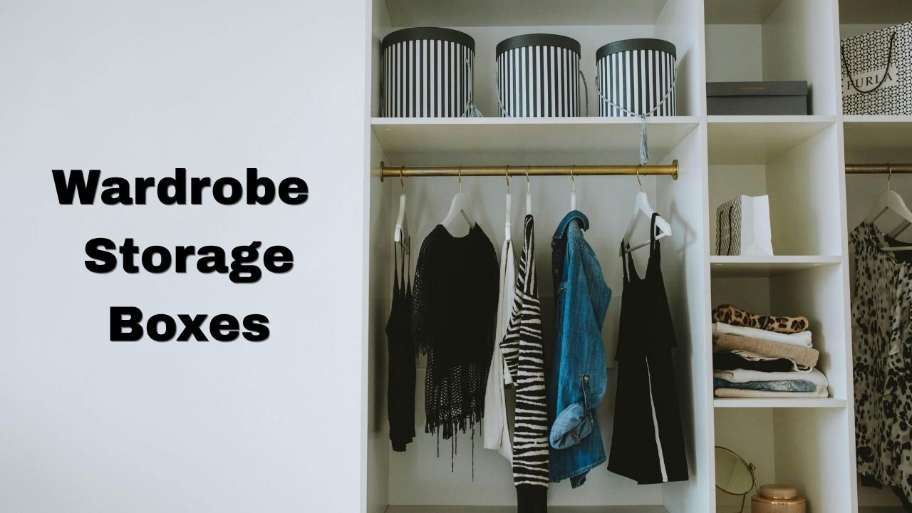 अलमारी में फैले रहते हैं कपड़े, तो ये Storage Boxes हैं बेहतर सॉल्‍यूशन, मिल रहे हैं अफोर्डेबल दाम पर