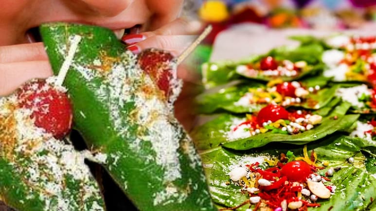 PCMC News: सावधान! 'कडक फुलचंद' खाताय? तुम्हीही व्हाल शिकार; पान खाताच गुंगी, पुण्यात धक्कादायक प्रकार