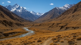 Which Is India's Largest National Park? A Complete Guide For Nature Lovers