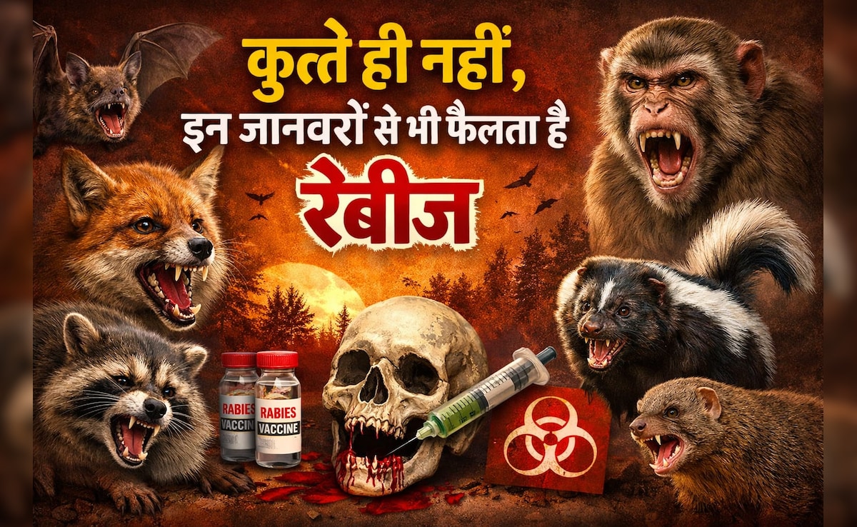 कुत्ते तो यूं ही बदनाम हैं, बिल्‍ली और गाय से भी होती है ये 4000 साल पुरानी बीमारी, आज तक नहीं म‍िला इलाज 