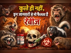 कुत्ते तो यूं ही बदनाम हैं, बिल्‍ली और गाय से भी होती है ये 4000 साल पुरानी बीमारी, आज तक नहीं म‍िला इलाज 