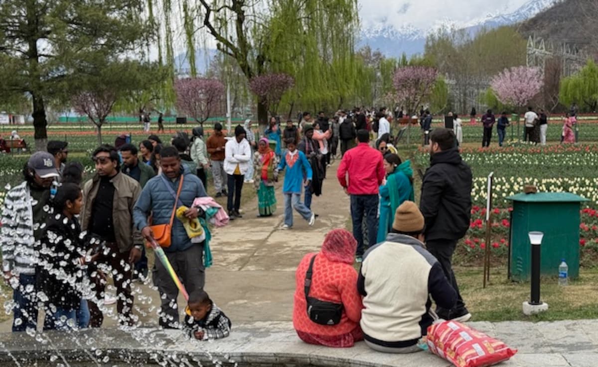 Latest and Breaking News on NDTV