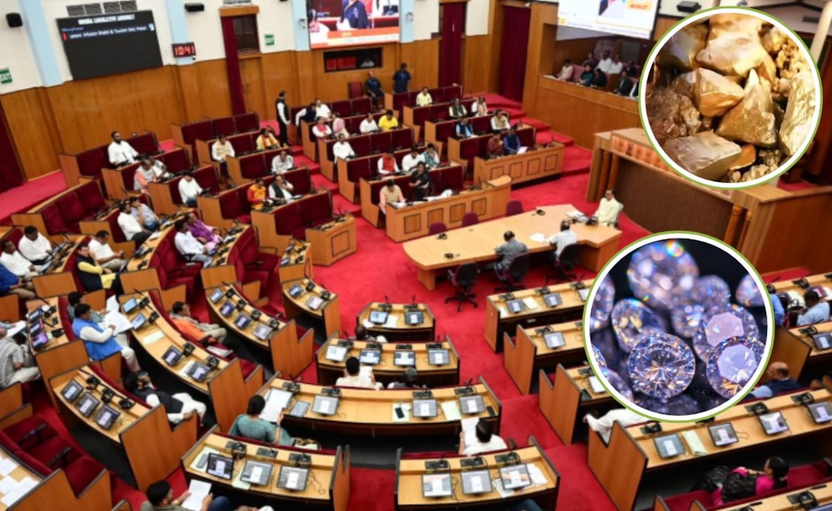 ओडिशा में खजाना! नुआपाड़ा में मिले हीरे,  मंत्री ने की कई जिलों में सोना-रत्न के भंडार की पुष्टि