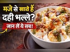 Holi में दही वड़े-भल्ले खाते हैं? जान लें उड़द दाल और दही का कॉम्बिनेशन सेहत पर कैसे डालता है असर