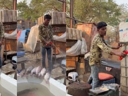 Vasai News : मासे खाताय की विष? वसईतील विक्रेत्याचा अघोरी प्रकार उघड; नागरिकांच्या जिवाशी थेट खेळ, पाहा VIDEO