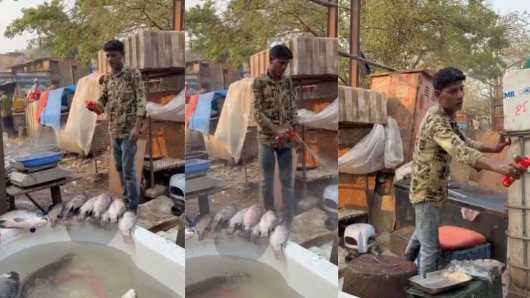 Vasai News : मासे खाताय की विष? वसईतील विक्रेत्याचा अघोरी प्रकार उघड; नागरिकांच्या जिवाशी थेट खेळ, पाहा VIDEO