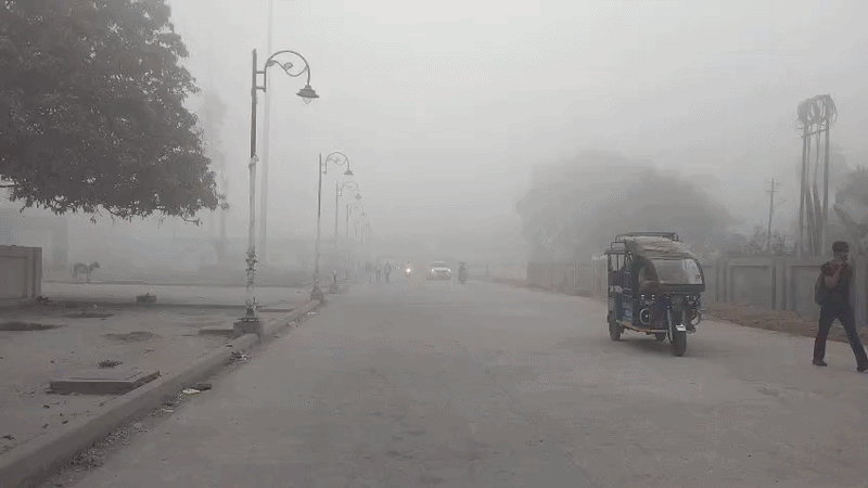 दिल्ली में कड़ी धूप और यूपी में कोहरा, मौसम मार्च में ले रहा गजब फिरकी, देखें VIDEO