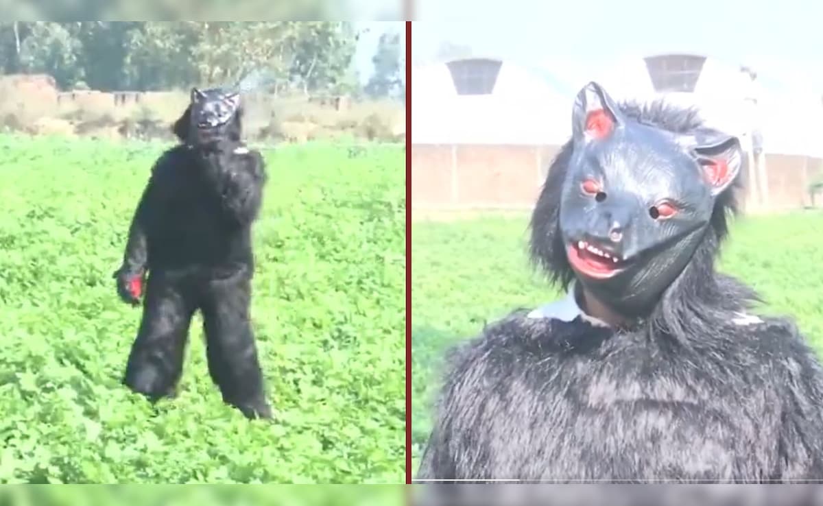 फसल को बंदरों से बचाने के लिए किसान ने निकाला ऐसा अजब-गजब जुगाड़, वायरल वीडियो देखकर हैरान रह गए लोग