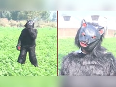 फसल को बंदरों से बचाने के लिए किसान ने निकाला ऐसा अजब-गजब जुगाड़, वायरल वीडियो देखकर हैरान रह गए लोग