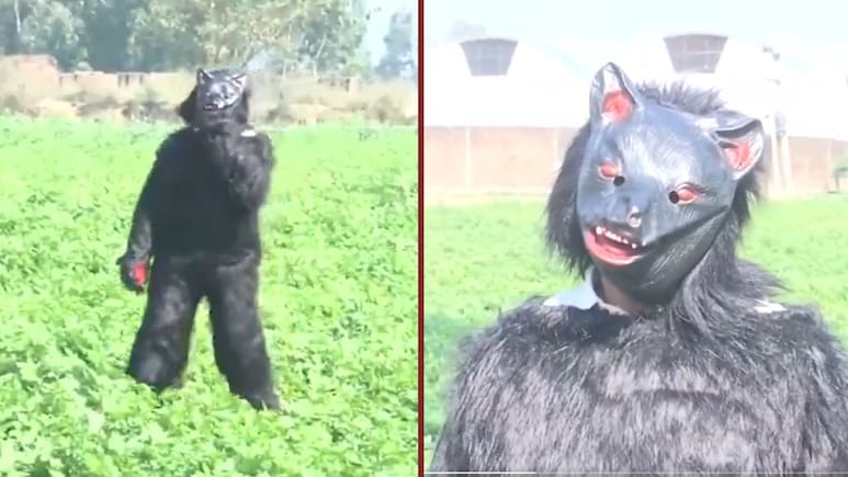 फसल को बंदरों से बचाने के लिए किसान ने निकाला ऐसा अजब-गजब जुगाड़, वायरल वीडियो देखकर हैरान रह गए लोग