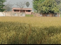 Bihar: विकास की ये कैसी उड़ान, न सड़क, न शिक्षक, न बच्चे; खेत के बीच बना दिया स्कूल